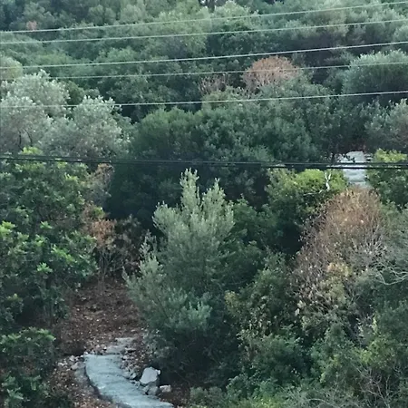 Green Hill